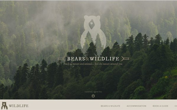 Bears and wildlife