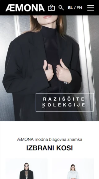 Izdelava spletne strani Aemona screan